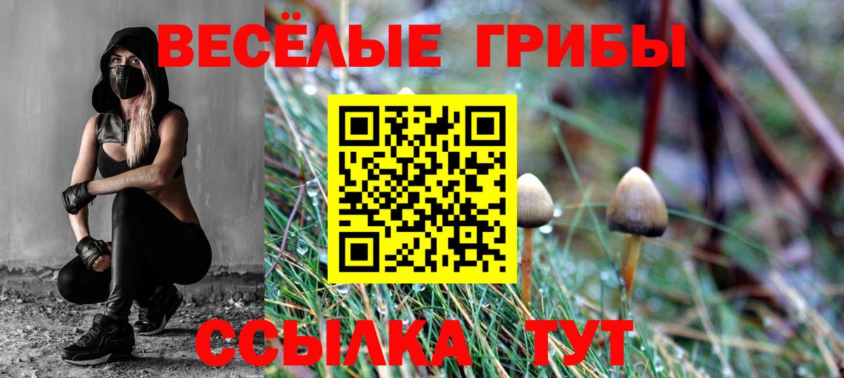 Псилоцибиновые грибы GOLDEN TEACHER Борисоглебск